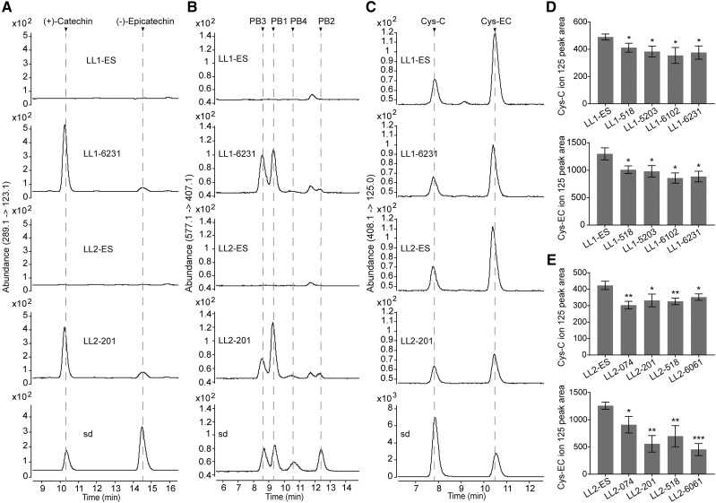 Figure 10.