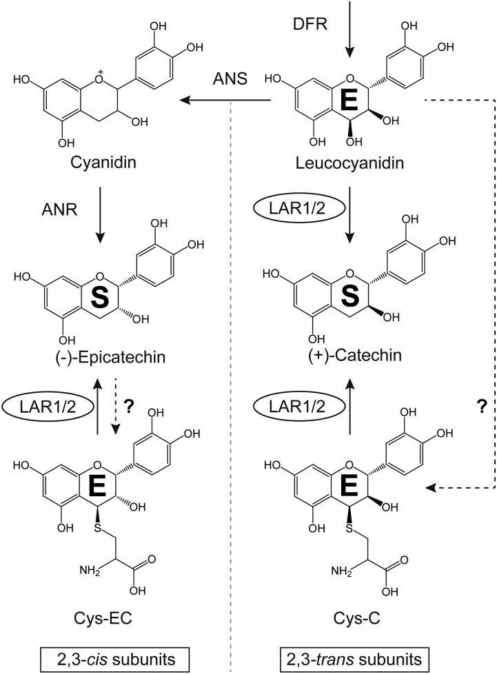 Figure 11.