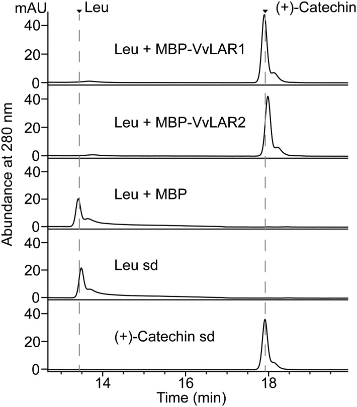 Figure 7.