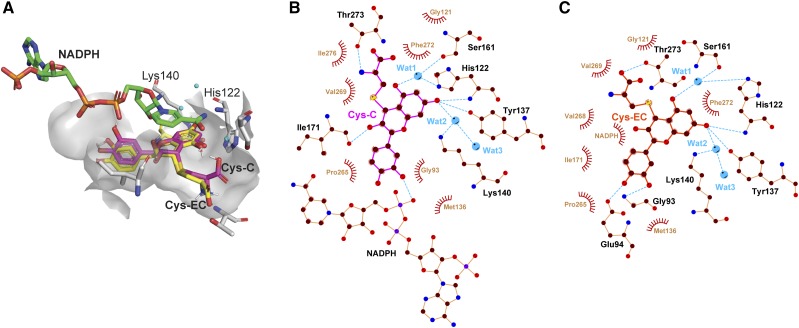 Figure 5.