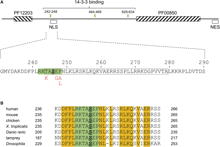 Figure 1