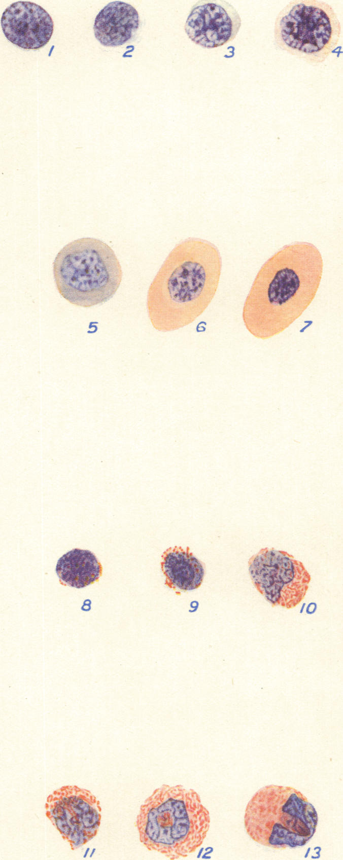 Fig. 11