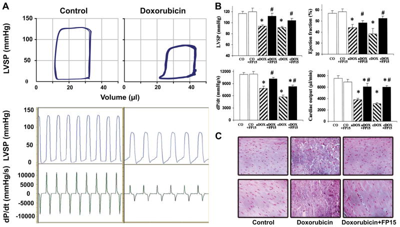 FIG. 13