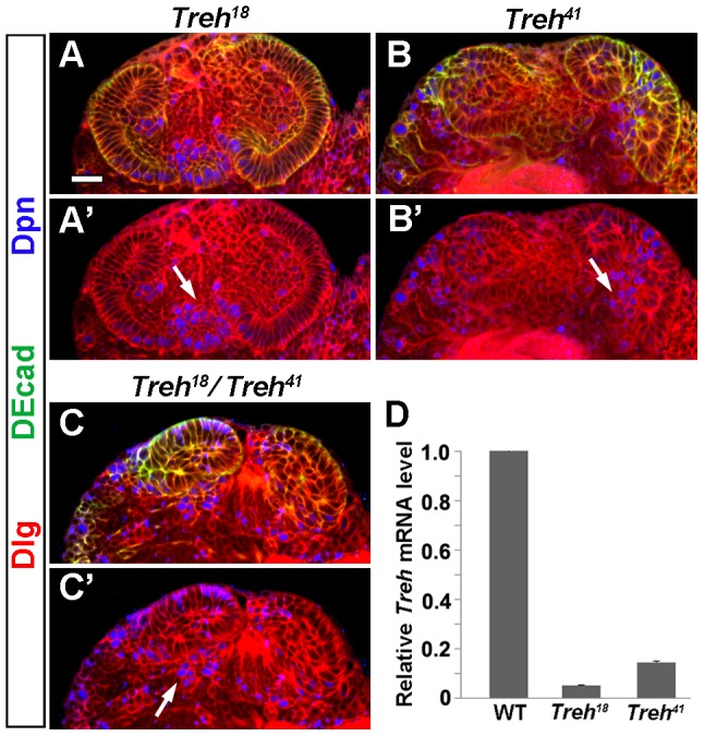 Figure 4