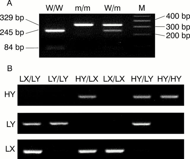 Figure 1  