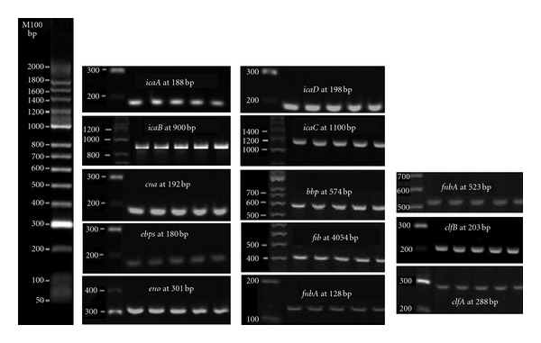 Figure 4