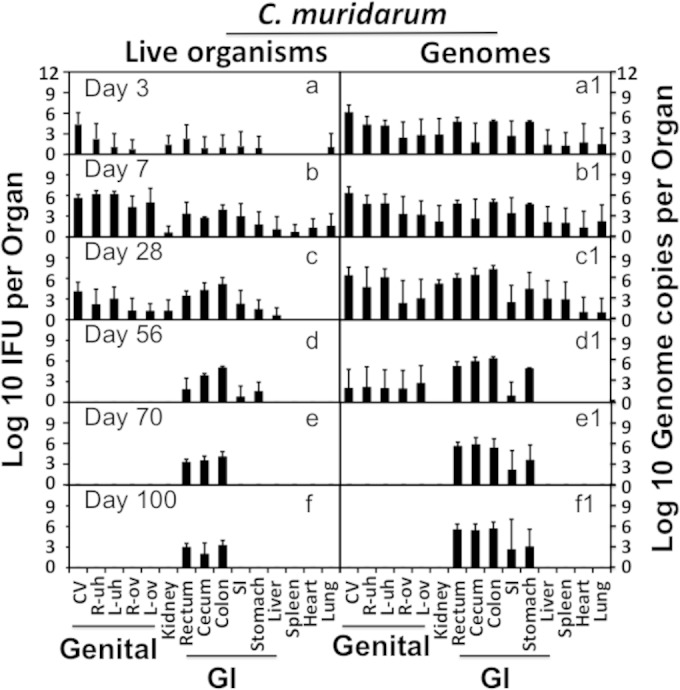 FIG 3