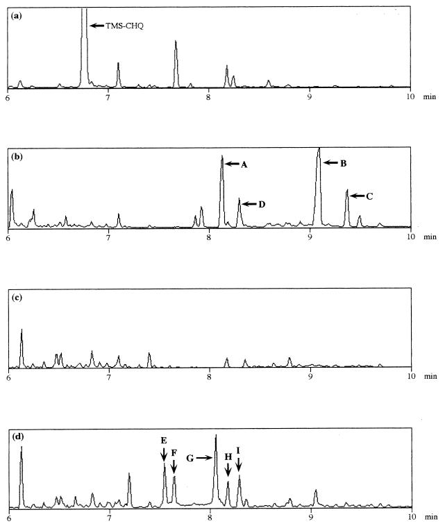 FIG. 5