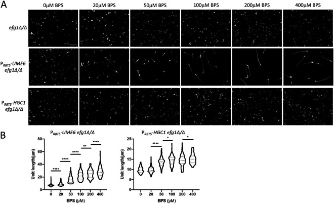 FIG 3