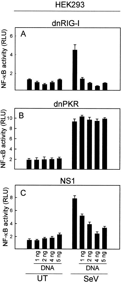 FIG. 6.