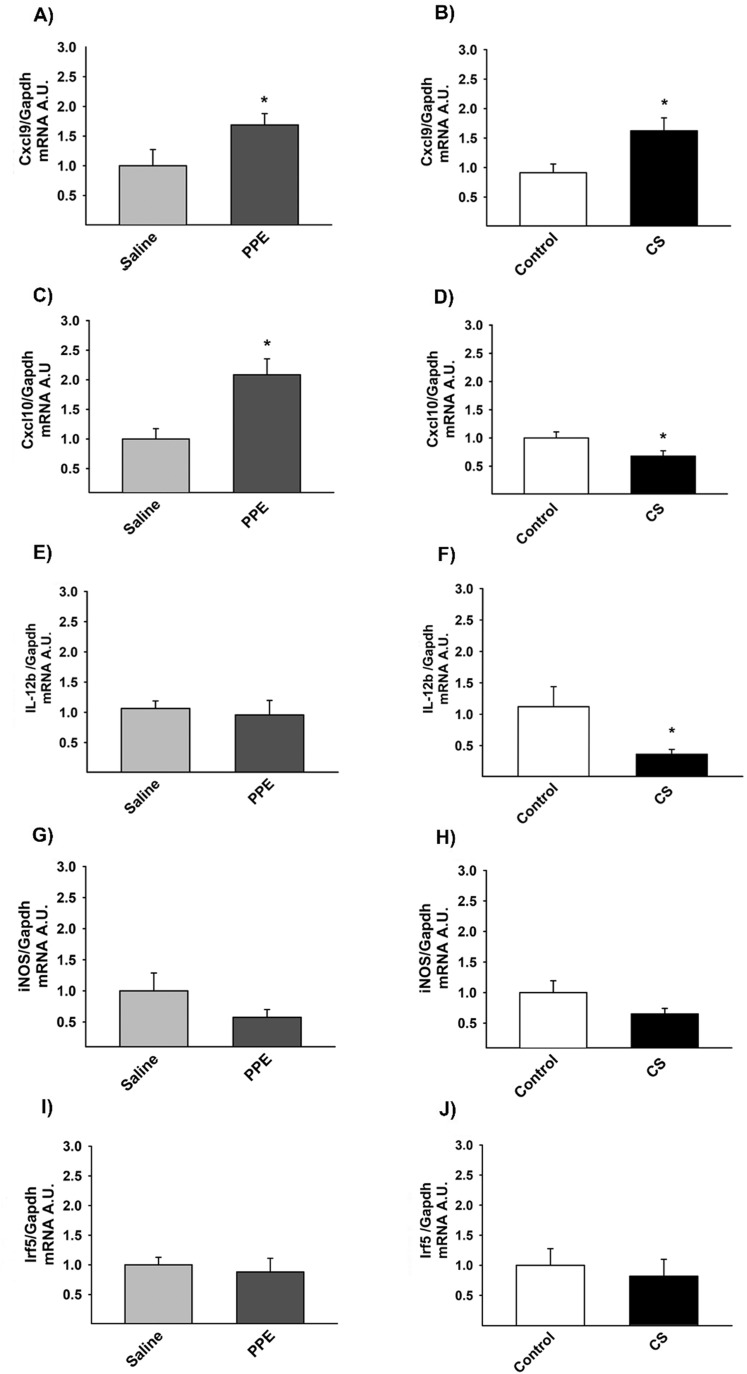 Fig. 10.