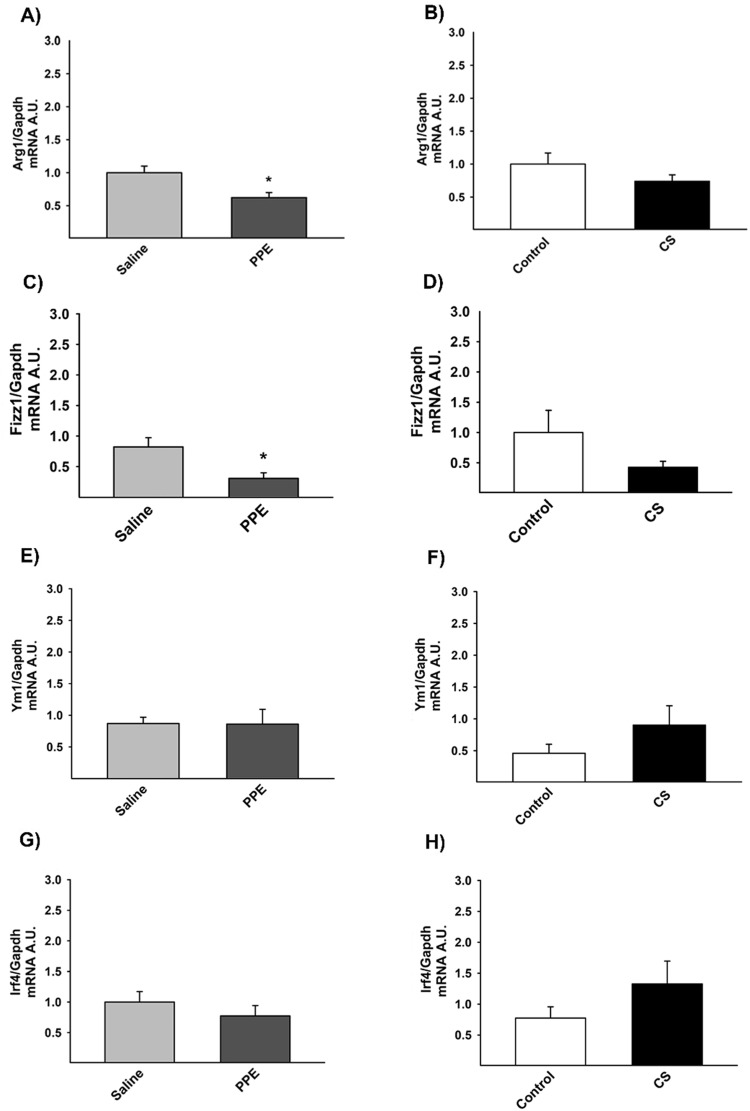 Fig. 11.