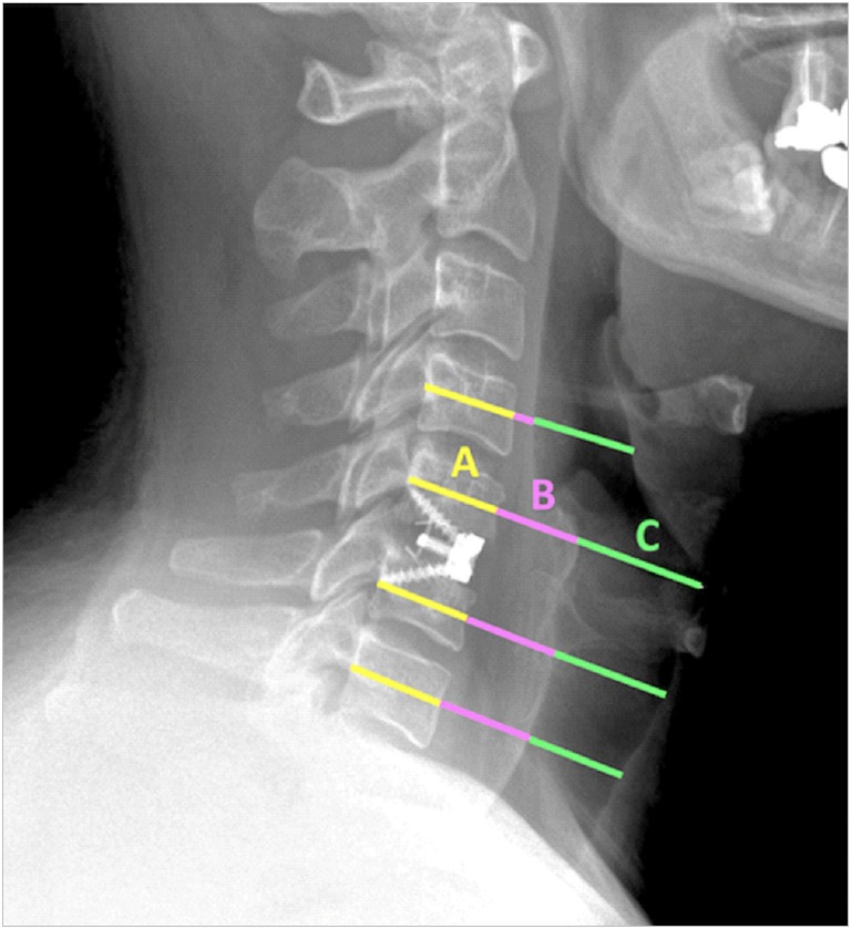 Fig. 1.