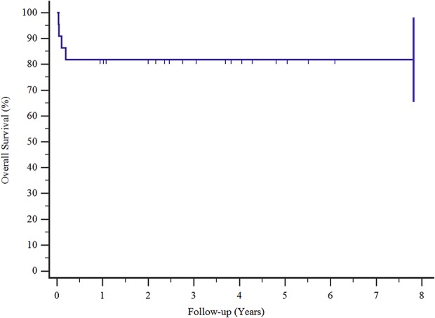 Fig. 4