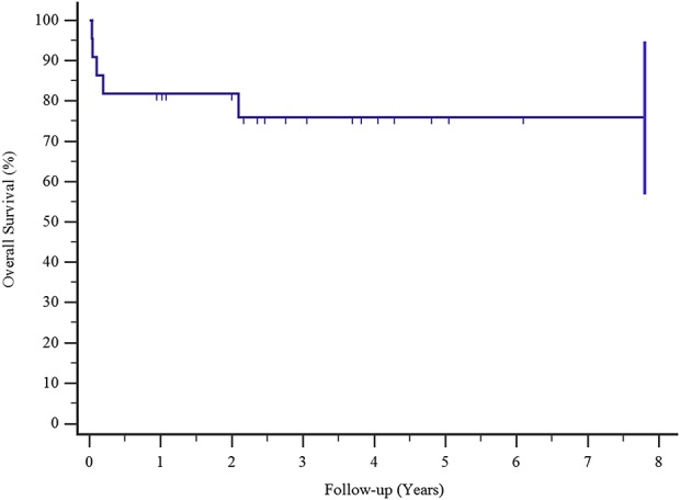 Fig. 3