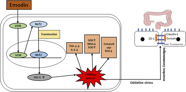 GRAPHICAL ABSTRACT