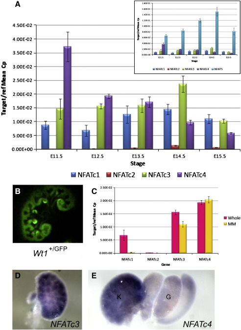 Fig. 2