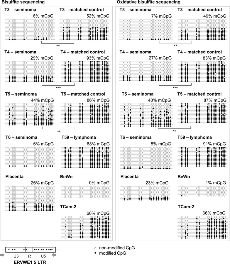 Fig. 7