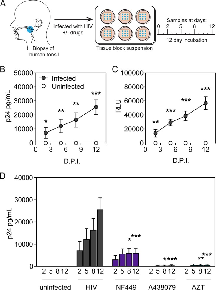 FIG 4