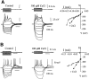 Fig. 8.