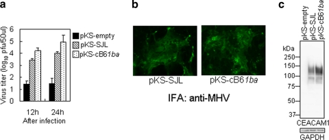 FIG. 8.