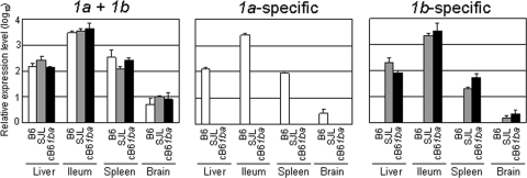 FIG. 2.