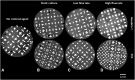 <b>FIG. 3.</b>