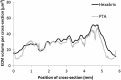 <b>FIG. 8.</b>