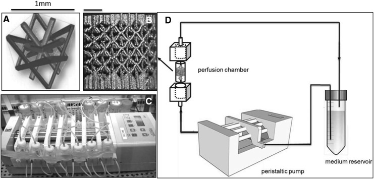 FIG. 1.