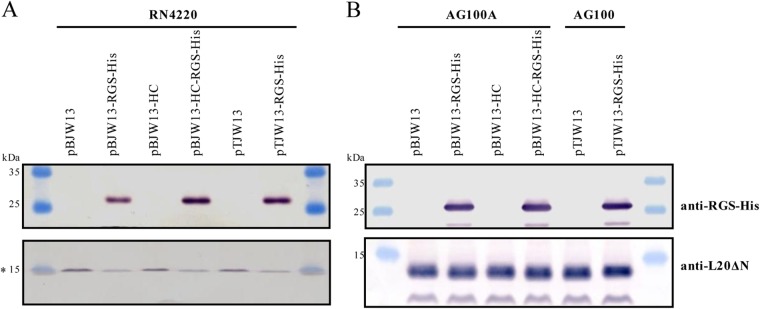 FIG 3