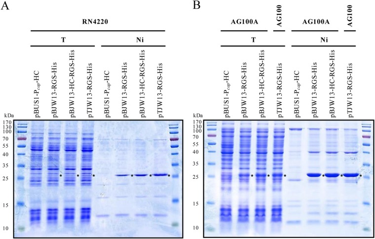 FIG 4