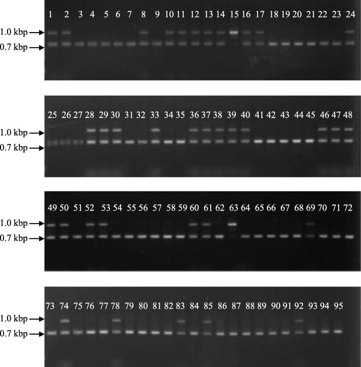 Fig. 10