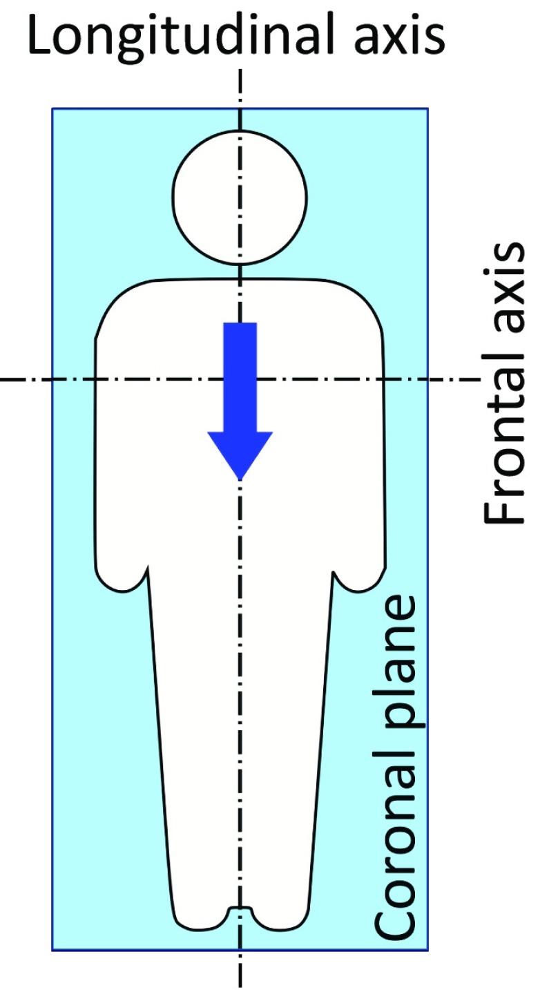 Fig. 2