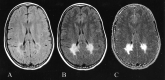<sc>fig</sc> 2.