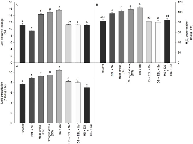 Figure 3