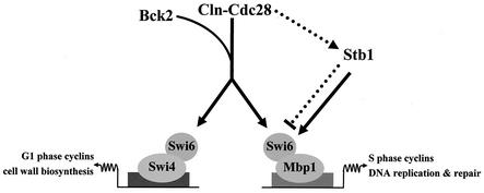 FIG. 9.