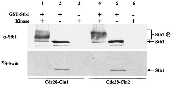 FIG. 8.