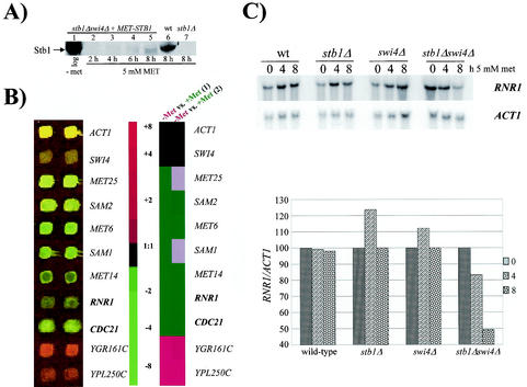 FIG. 4.