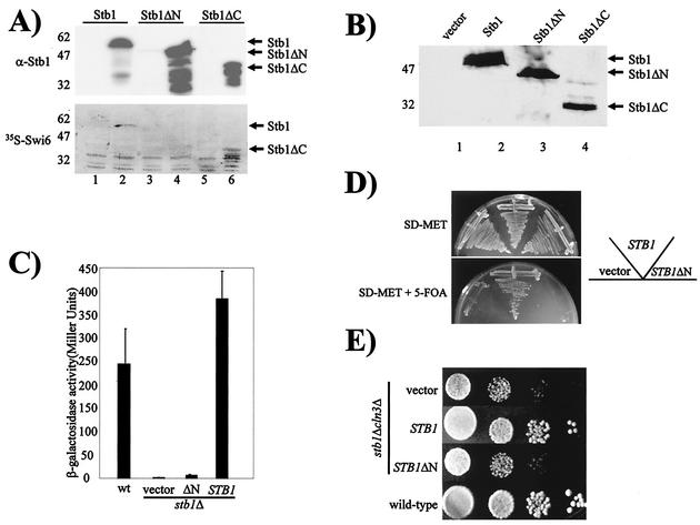 FIG. 7.