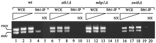 FIG. 6.