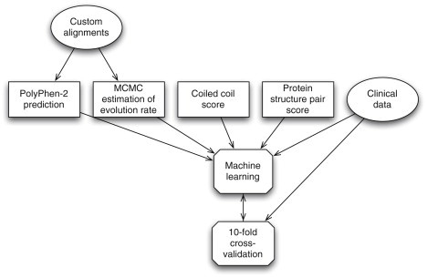 Figure 3