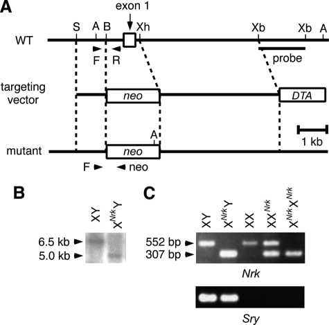 FIGURE 1.