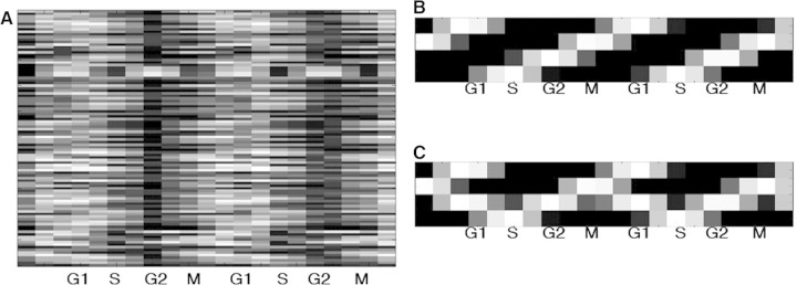 Figure 1: