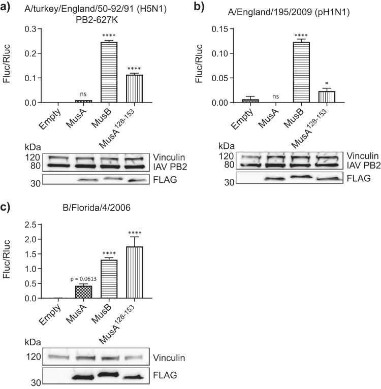 FIG 6