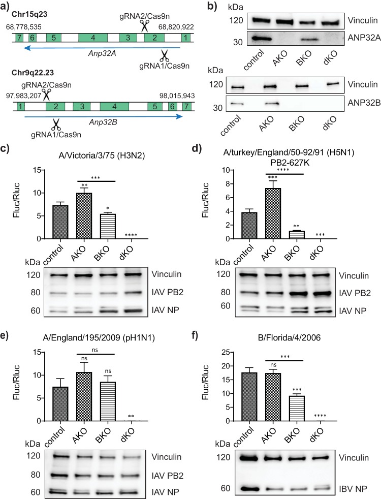 FIG 1