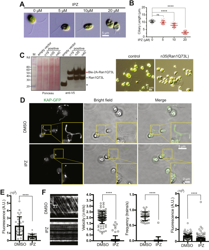 Figure 5