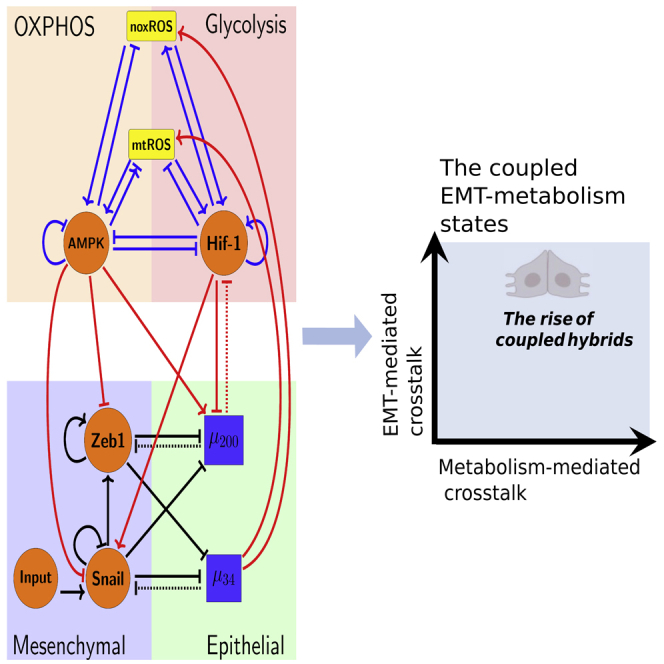 graphic file with name fx1.jpg