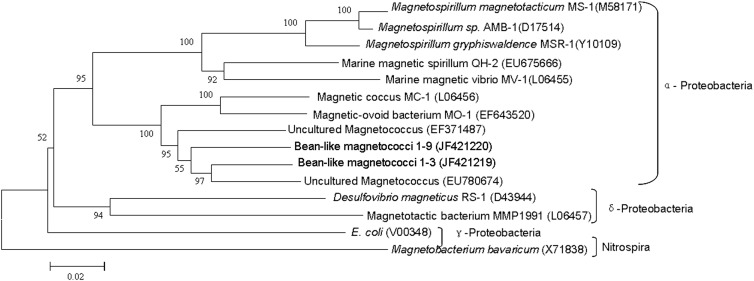 Fig 5