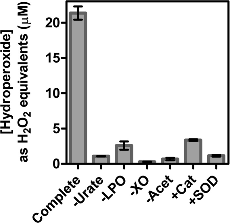 FIGURE 2.