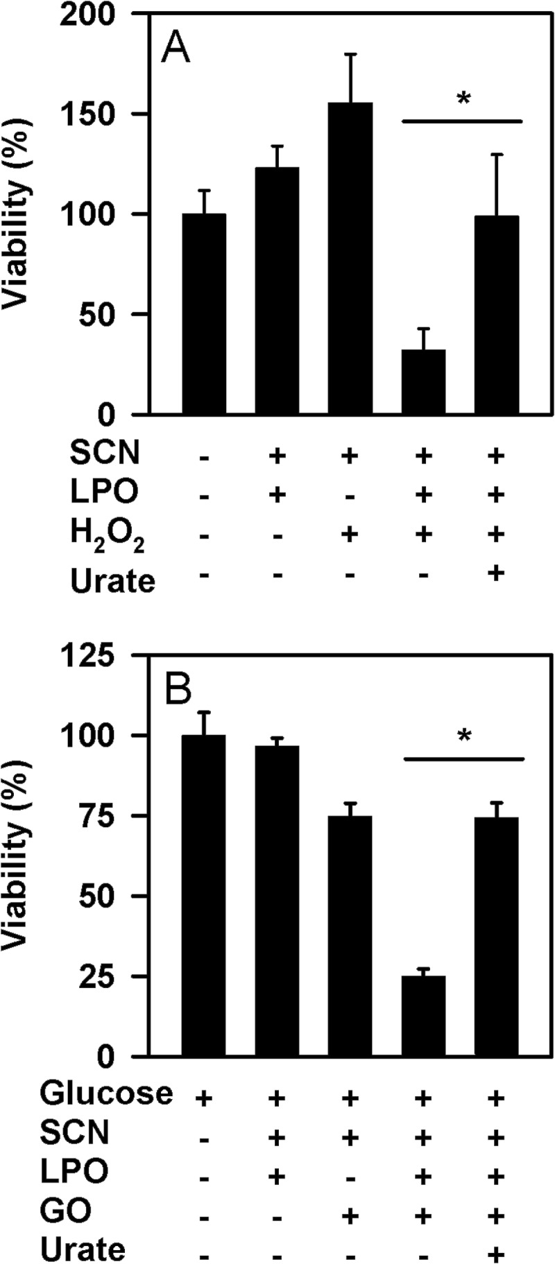 FIGURE 9.